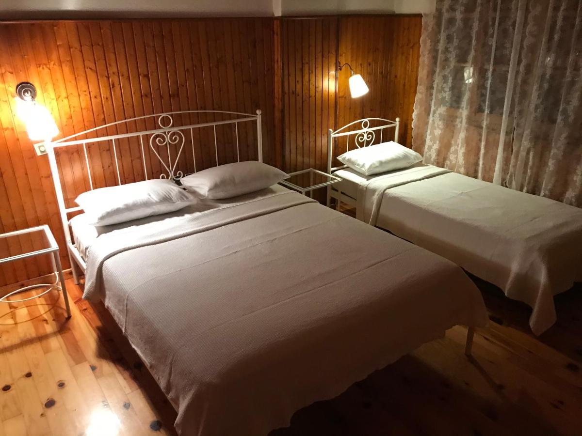 9Mouses Chasiotis Guest House Ampelakia 外观 照片