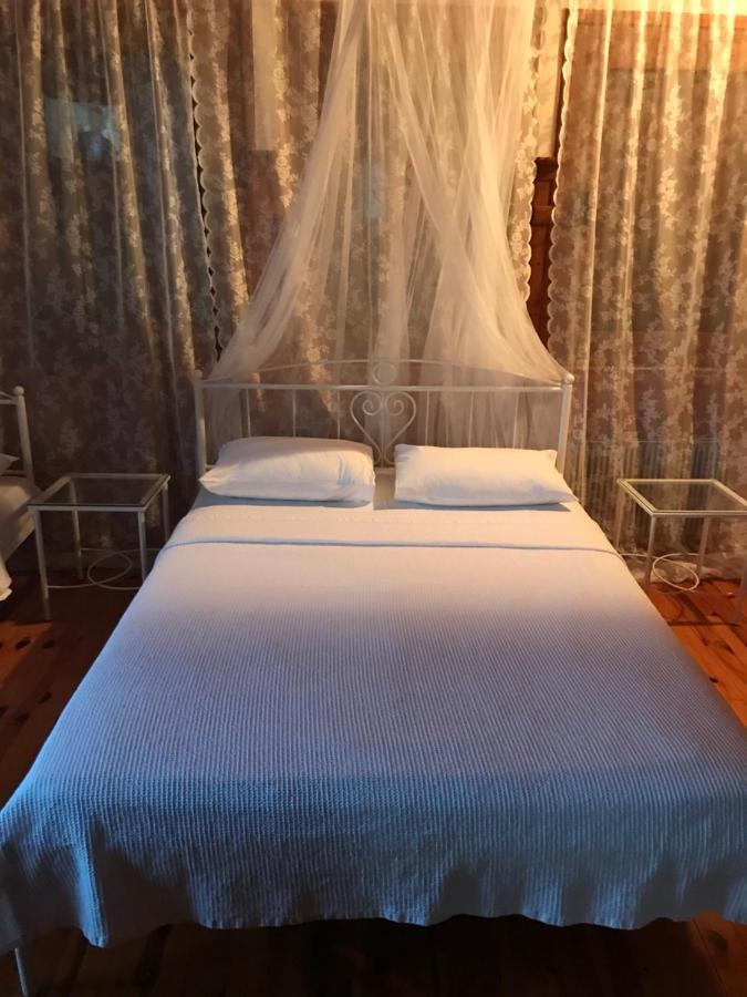 9Mouses Chasiotis Guest House Ampelakia 外观 照片