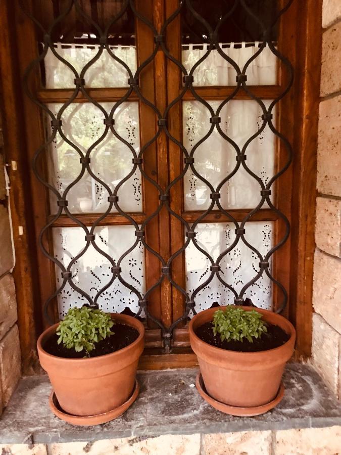 9Mouses Chasiotis Guest House Ampelakia 外观 照片