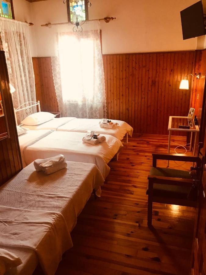 9Mouses Chasiotis Guest House Ampelakia 外观 照片
