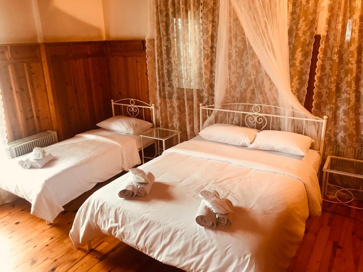 9Mouses Chasiotis Guest House Ampelakia 外观 照片