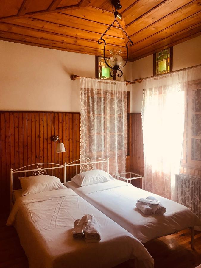 9Mouses Chasiotis Guest House Ampelakia 外观 照片