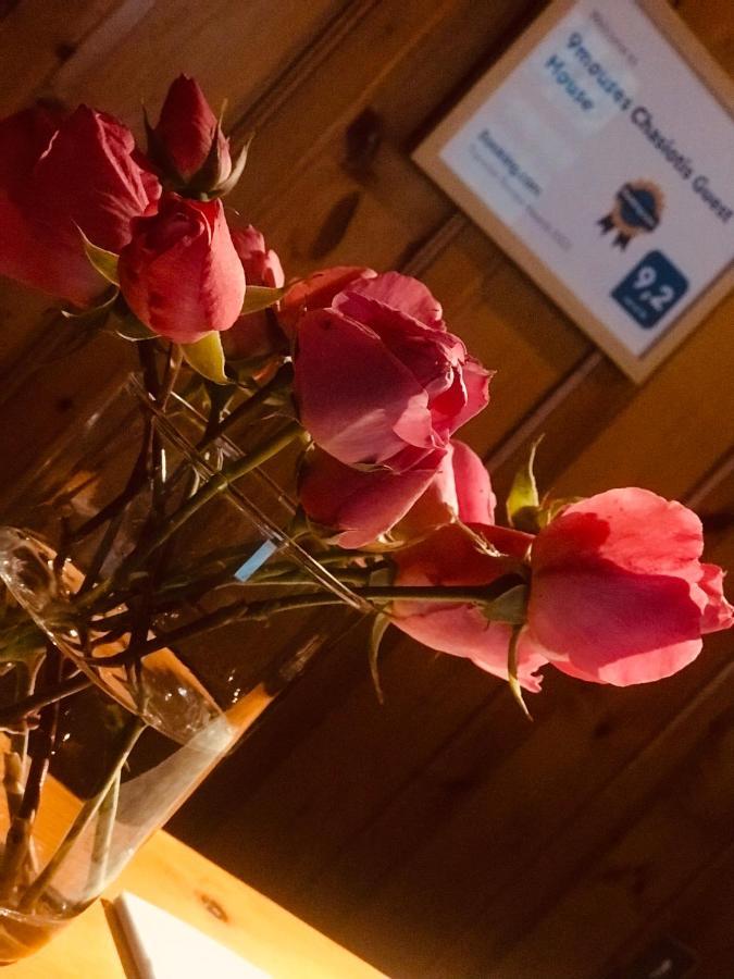 9Mouses Chasiotis Guest House Ampelakia 外观 照片