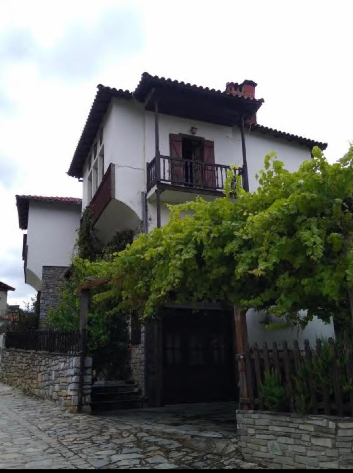 9Mouses Chasiotis Guest House Ampelakia 外观 照片
