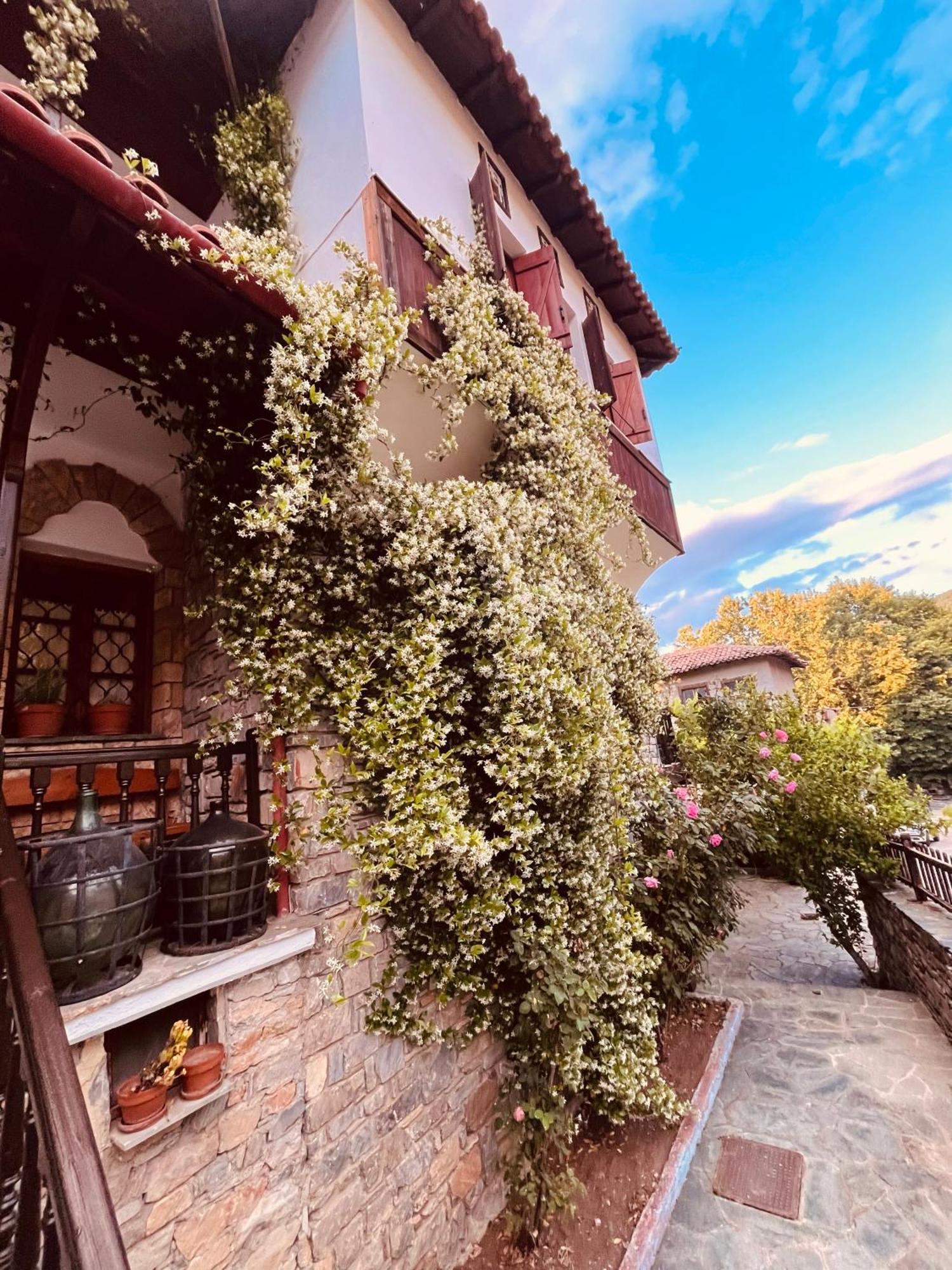 9Mouses Chasiotis Guest House Ampelakia 外观 照片
